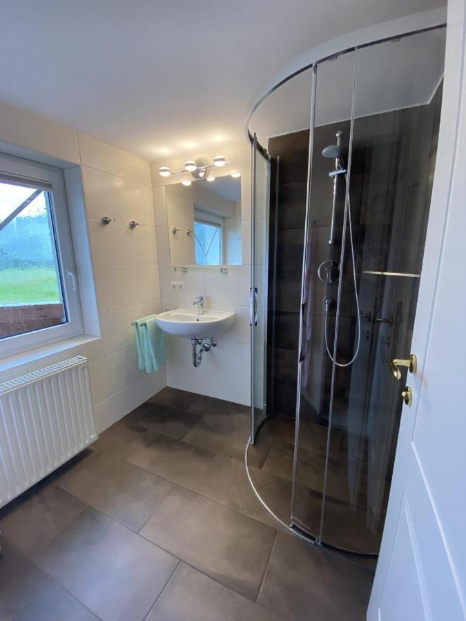Haus Meneweger Leilighet Flachau Eksteriør bilde